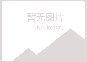 铁岭夏岚咨询有限公司